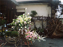 IWi