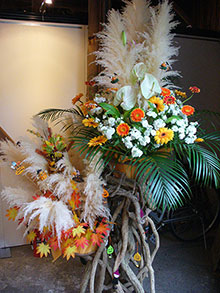 IWi