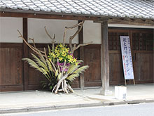 IWi