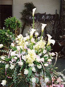 IWi