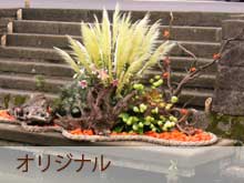 IWi